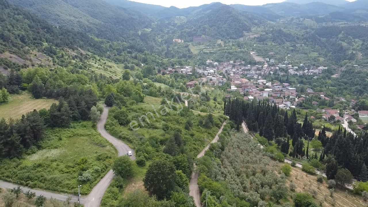 Beka'dan Yenisölöz'de Göl Ve Doğa Manzaralı 7475 M² Tarla - Görsel 5