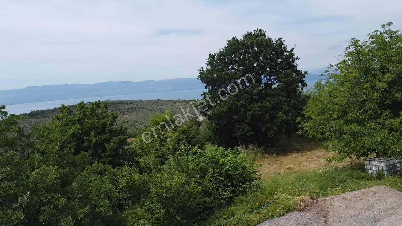 Beka'dan Yenisölöz'de Göl Ve Doğa Manzaralı 7475 M² Tarla - Görsel 19