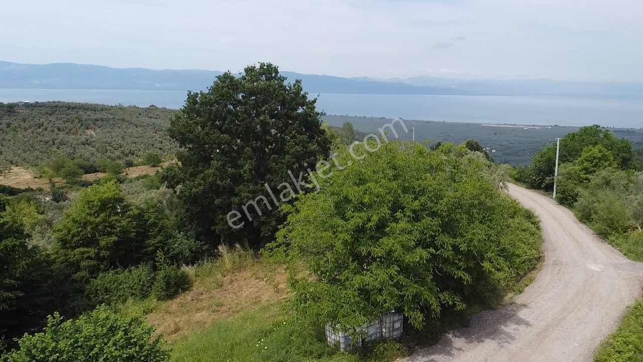 Beka'dan Yenisölöz'de Göl Ve Doğa Manzaralı 7475 M² Tarla - Görsel 13