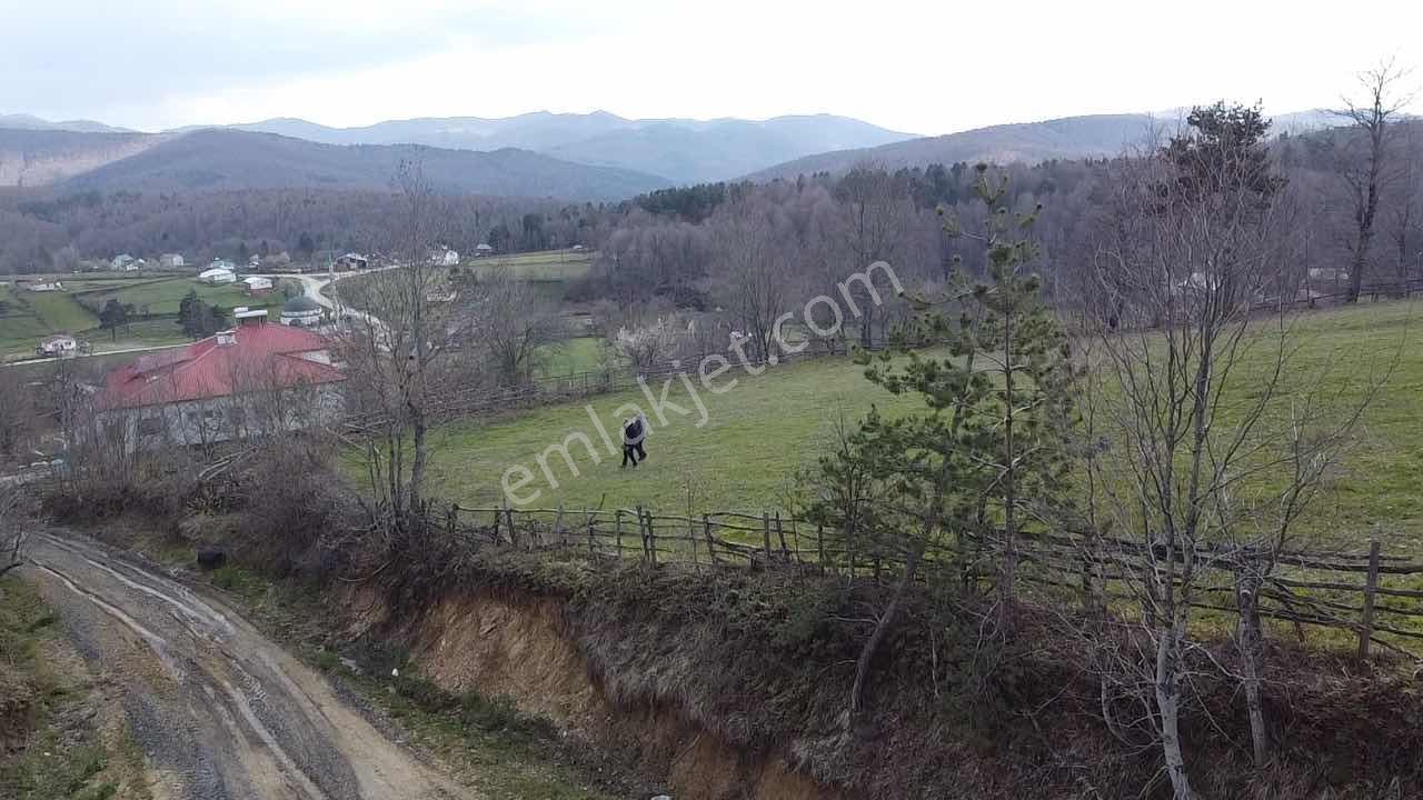 Kırıntı Köyünde Yan Yana 2 Adet İmarlı Varsa - Görsel 5