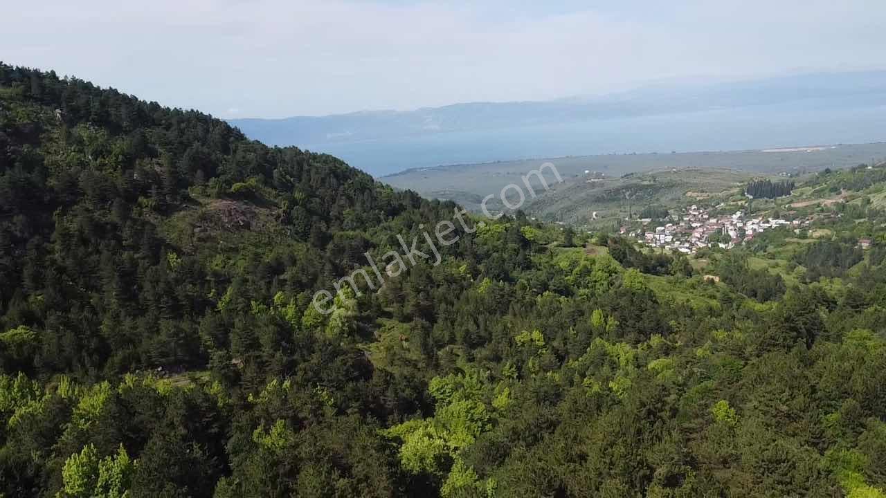 Beka'dan Yenisölöz'de Göl Ve Doğa Manzaralı 10253 M² Tarla - Görsel 6