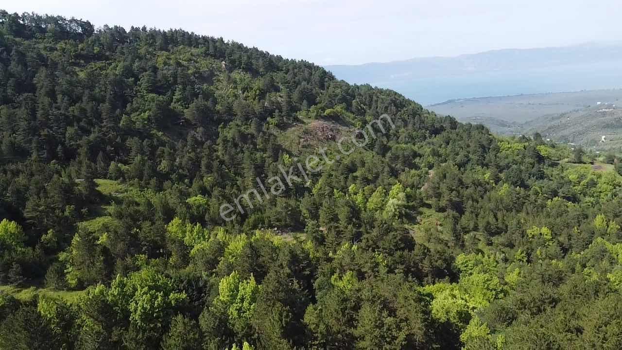 Beka'dan Yenisölöz'de Göl Ve Doğa Manzaralı 10253 M² Tarla - Görsel 7