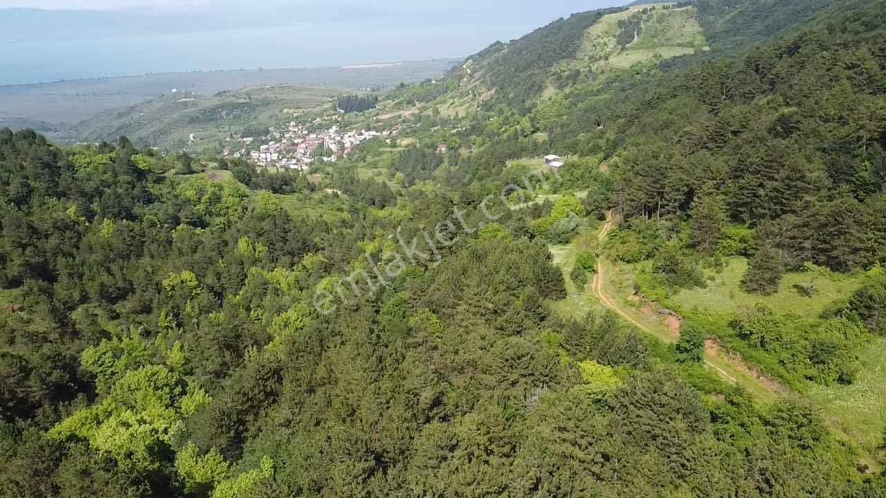 Beka'dan Yenisölöz'de Göl Ve Doğa Manzaralı 10253 M² Tarla - Görsel 11