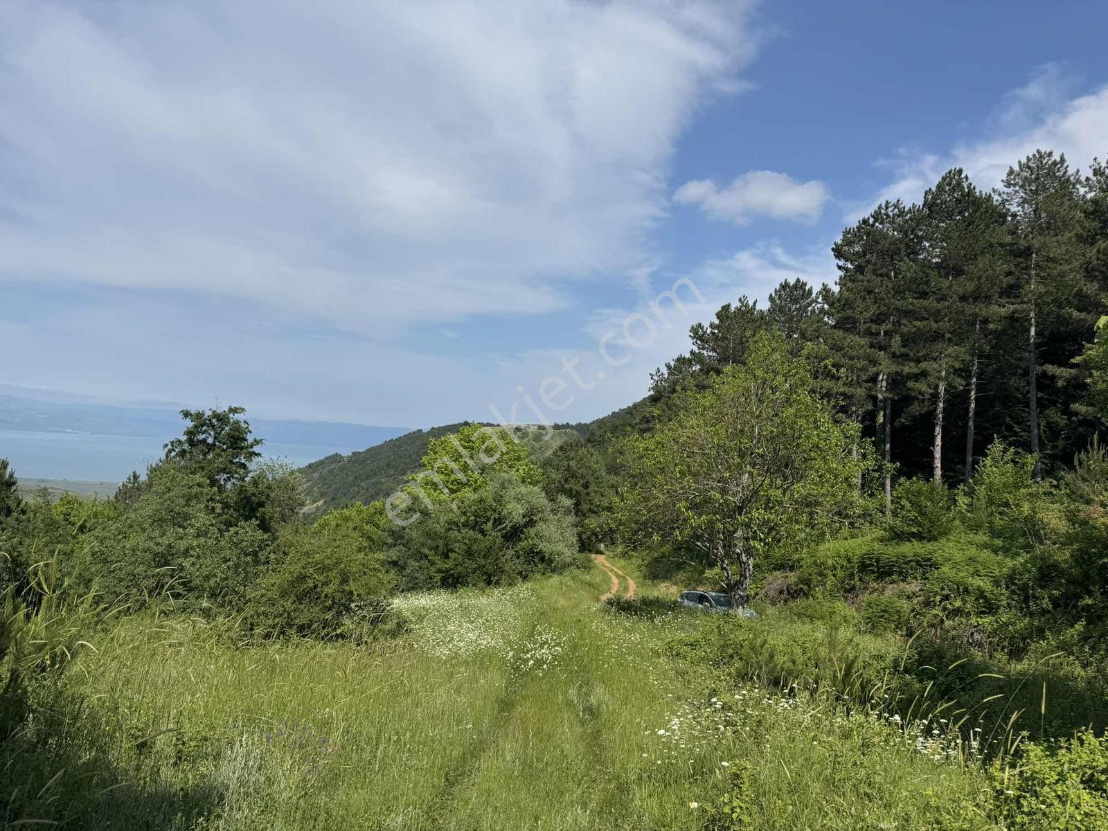 Beka'dan Yenisölöz'de Göl Ve Doğa Manzaralı 10253 M² Tarla - Görsel 23
