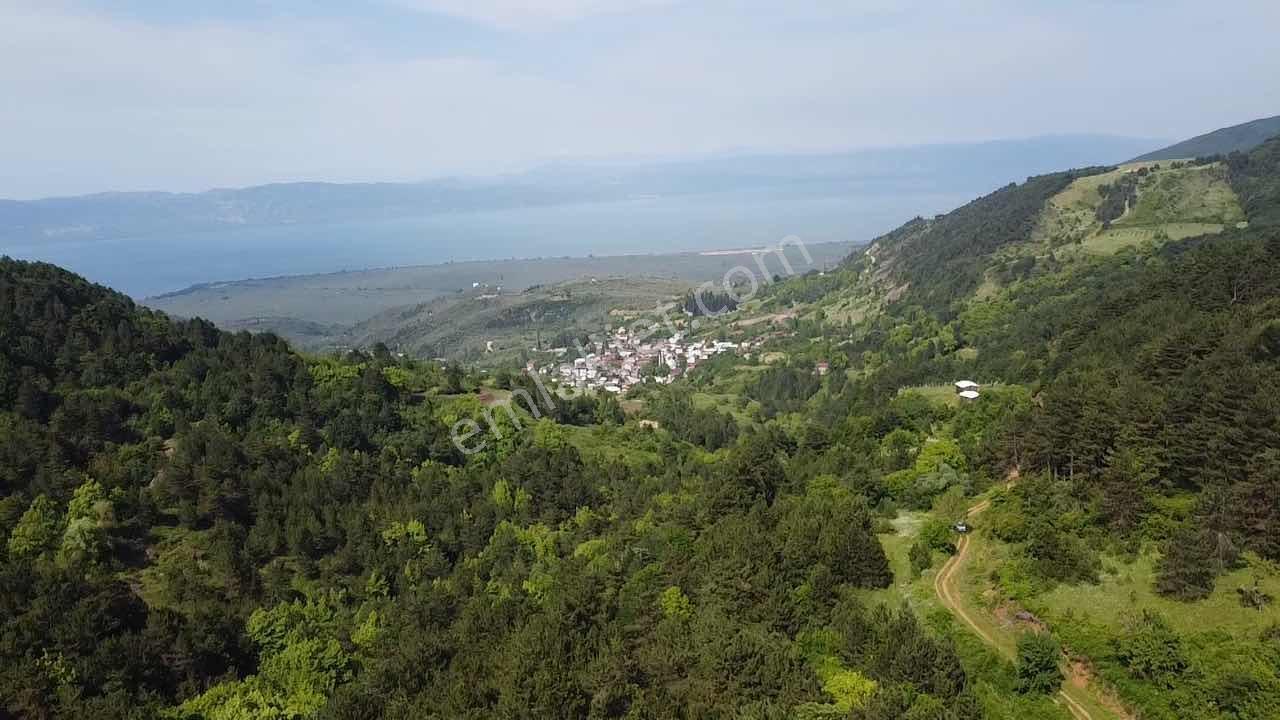 Beka'dan Yenisölöz'de Göl Ve Doğa Manzaralı 10253 M² Tarla - Görsel 5