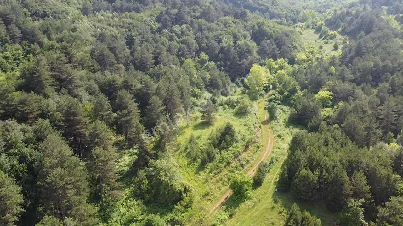 Beka'dan Yenisölöz'de Göl Ve Doğa Manzaralı 10253 M² Tarla - Görsel 2