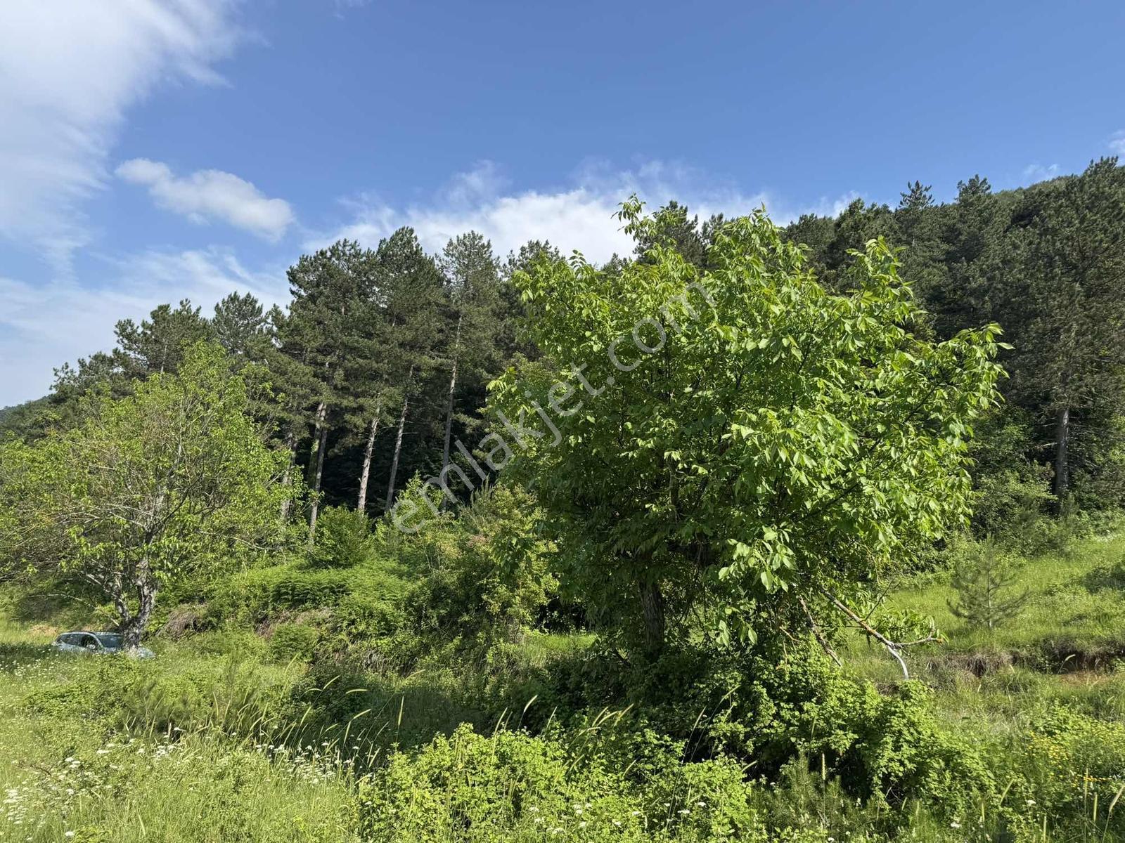 Beka'dan Yenisölöz'de Göl Ve Doğa Manzaralı 10253 M² Tarla - Görsel 24