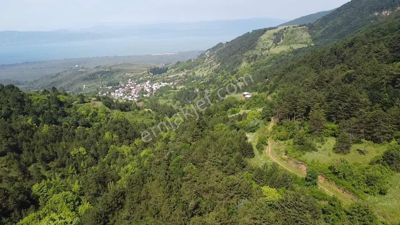 Beka'dan Yenisölöz'de Göl Ve Doğa Manzaralı 10253 M² Tarla - Görsel 12