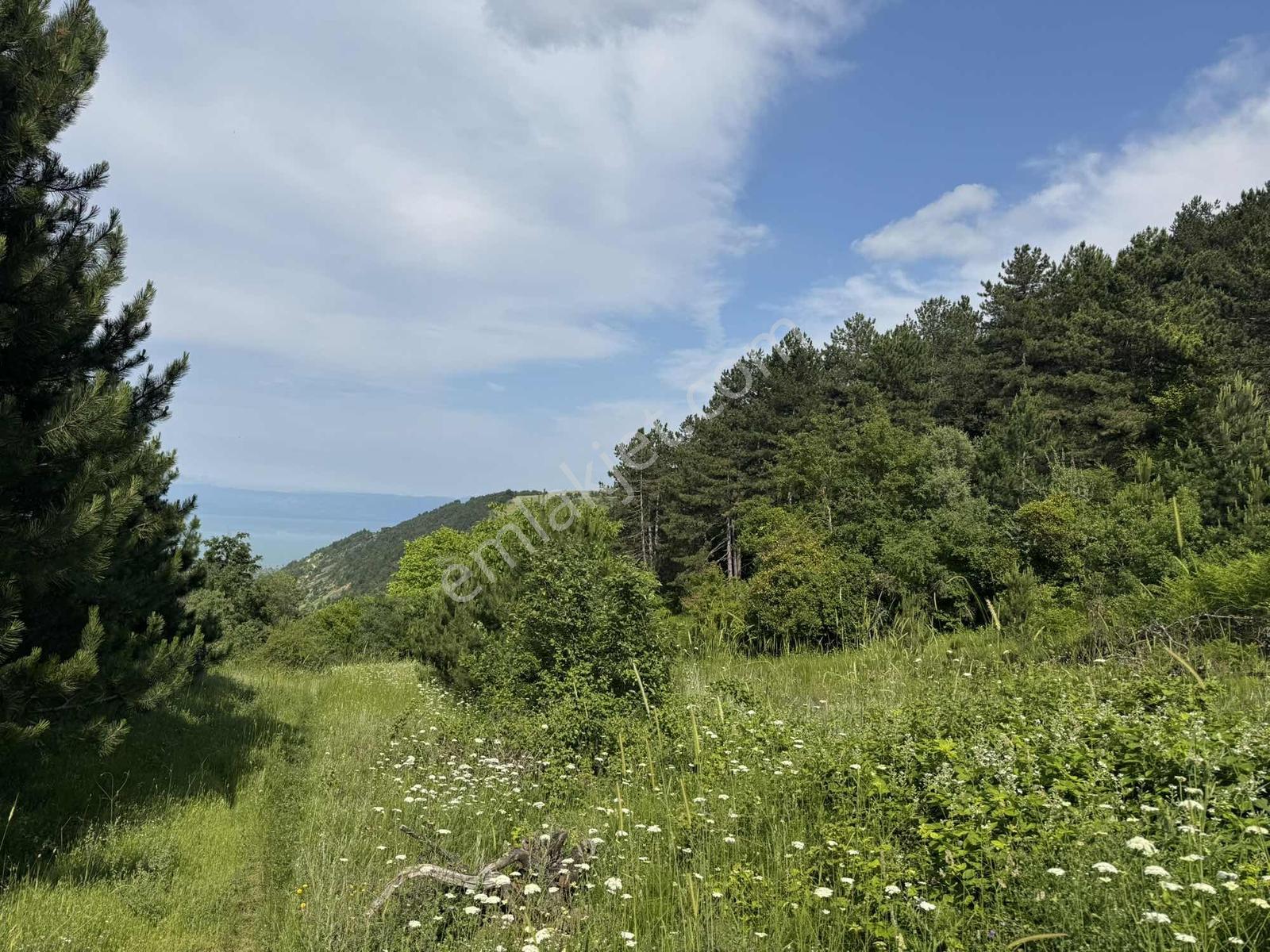 Beka'dan Yenisölöz'de Göl Ve Doğa Manzaralı 10253 M² Tarla - Görsel 15