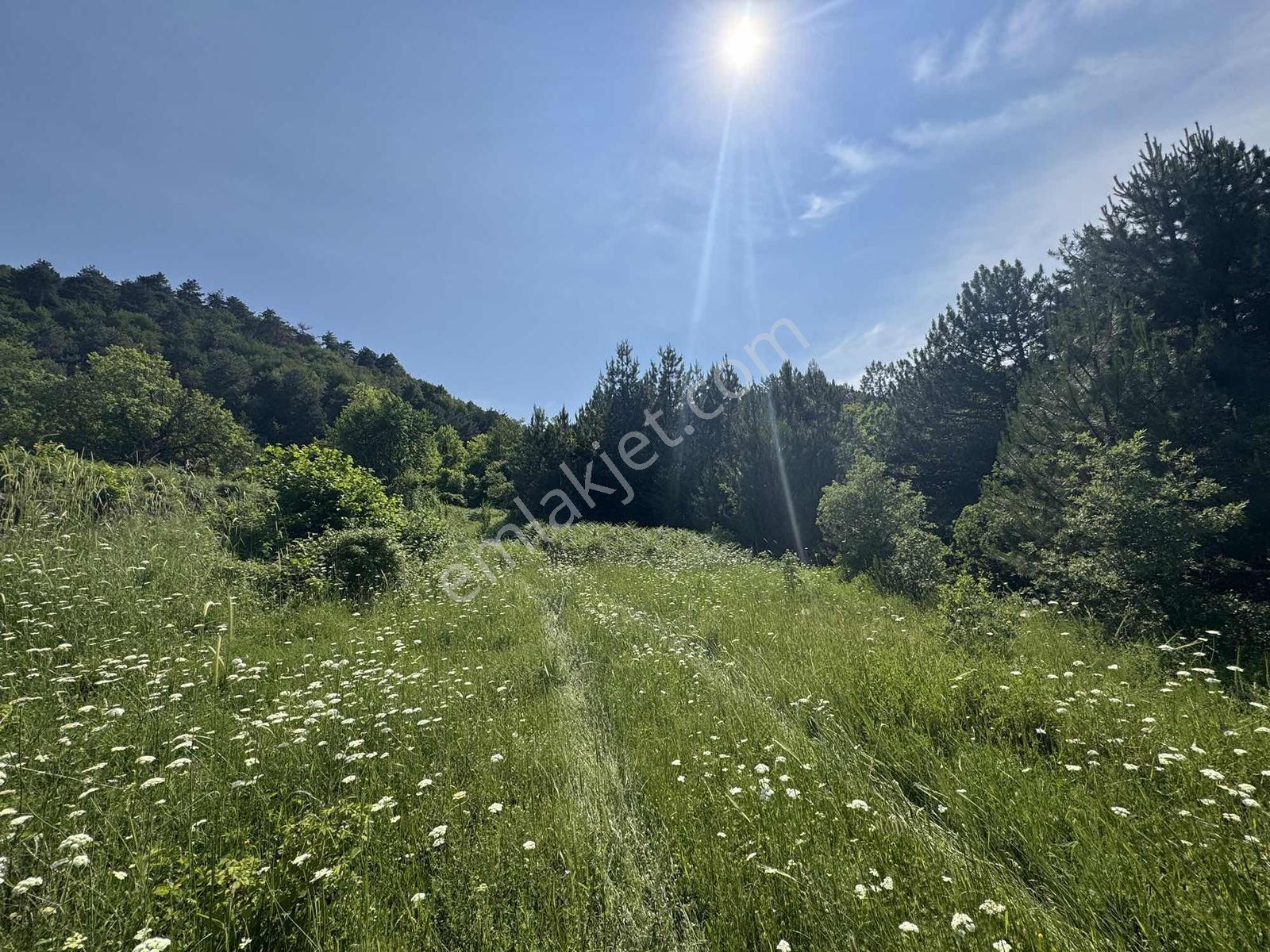 Beka'dan Yenisölöz'de Göl Ve Doğa Manzaralı 10253 M² Tarla - Görsel 18