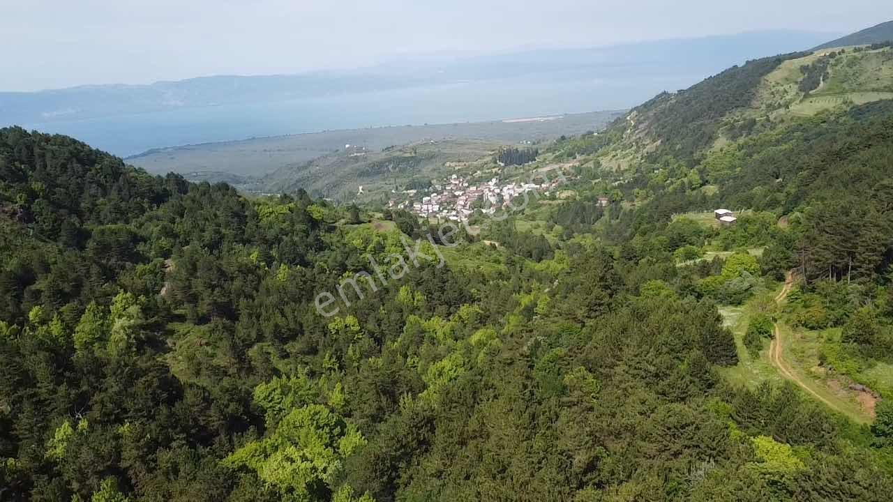 Beka'dan Yenisölöz'de Göl Ve Doğa Manzaralı 10253 M² Tarla - Görsel 27