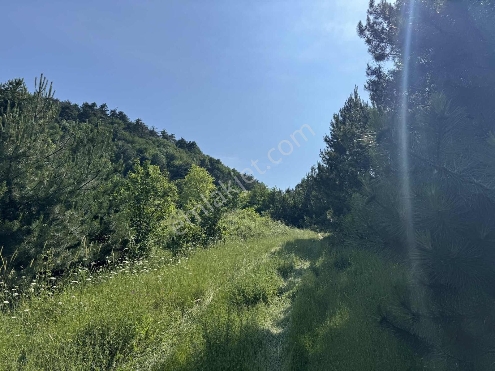 Beka'dan Yenisölöz'de Göl Ve Doğa Manzaralı 10253 M² Tarla - Görsel 25