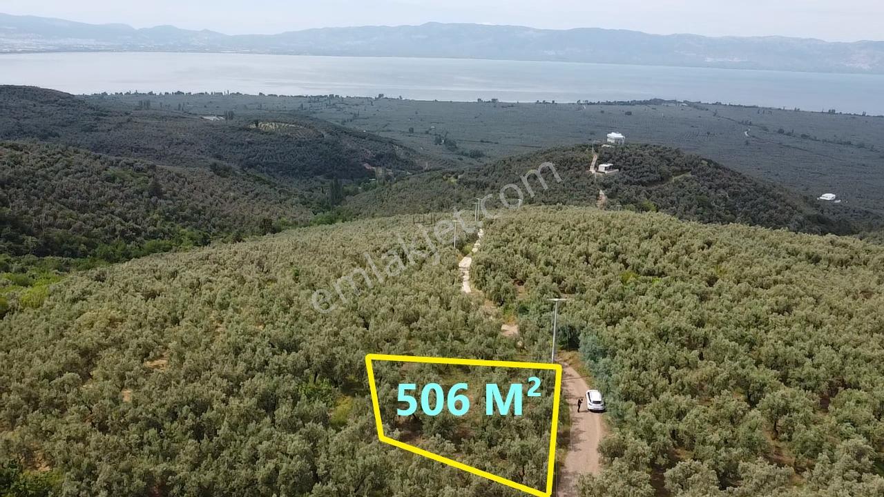 Beka Gayrimenkul'den Yenisölöz'de 506 M2 Yola Cephe Zeytinlik