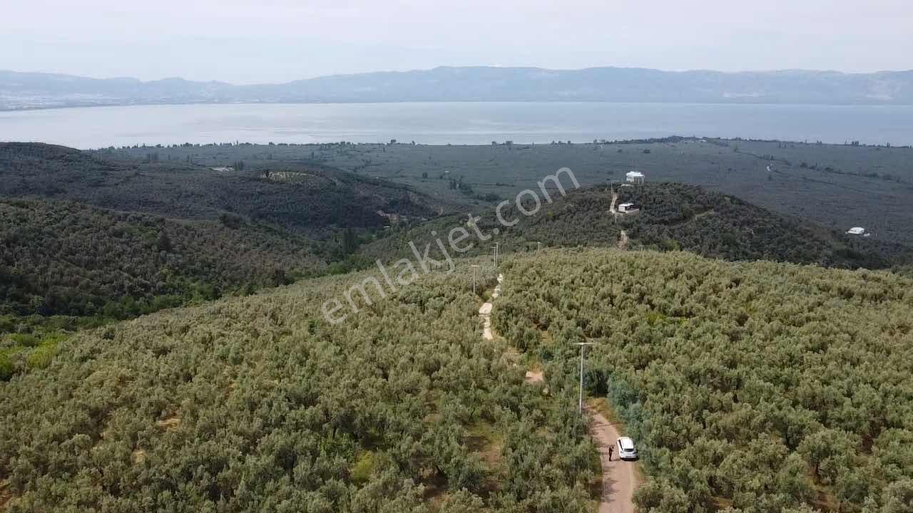 Beka Gayrimenkul'den Yenisölöz'de 506 M2 Yola Cephe Zeytinlik - Görsel 29