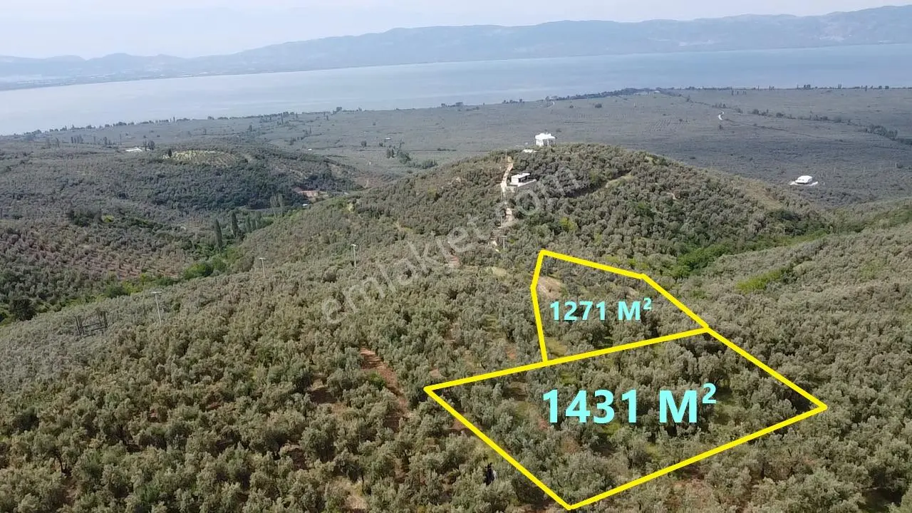 Beka Gayrimenkul'den 2 Tapu 2703 M² Göl Manzaralı Zeytinlik