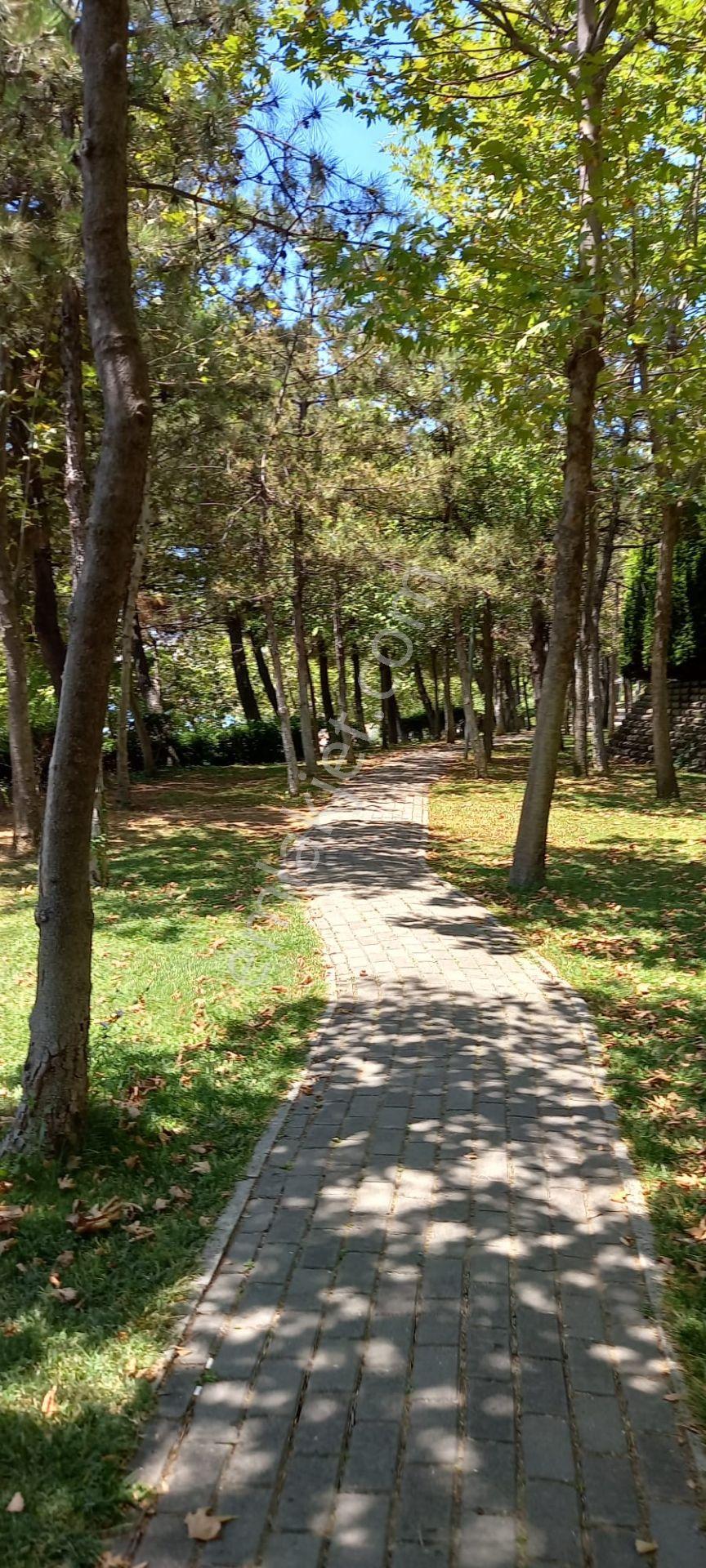 İhlas Armutlu Tatil Köyü - Görsel 3