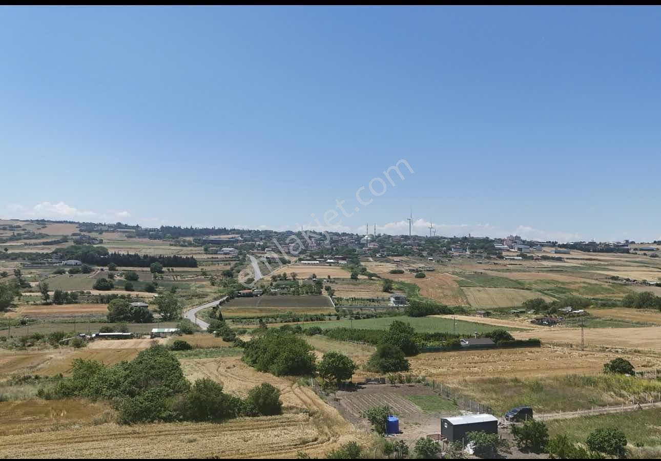 Tek Tapu Müstakil Her Bakımdan Kurulu Düzen Bahçe