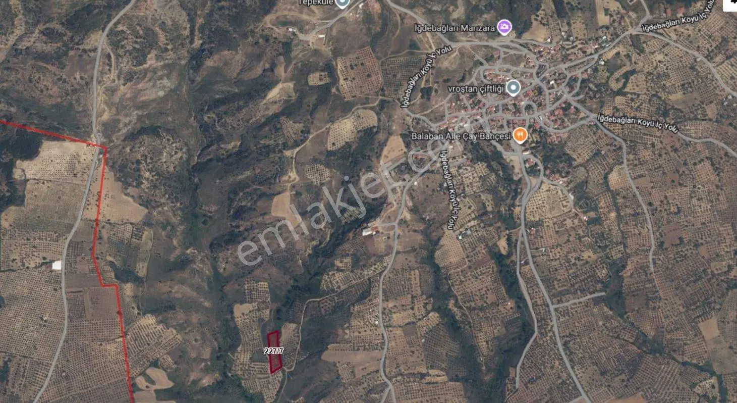 Tekirdağ Şarköy Tek Tapu Deniz Manzaralı Araç Ulaşımlı Zeytinlik - Görsel 9