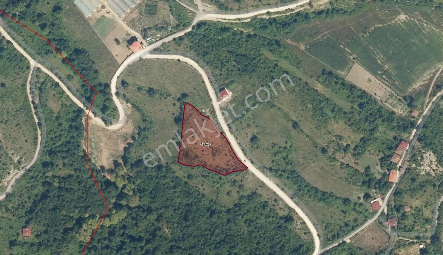 Cide Demirtaş Emlaktan Sipahi Mahallesinde Satılık Tarla