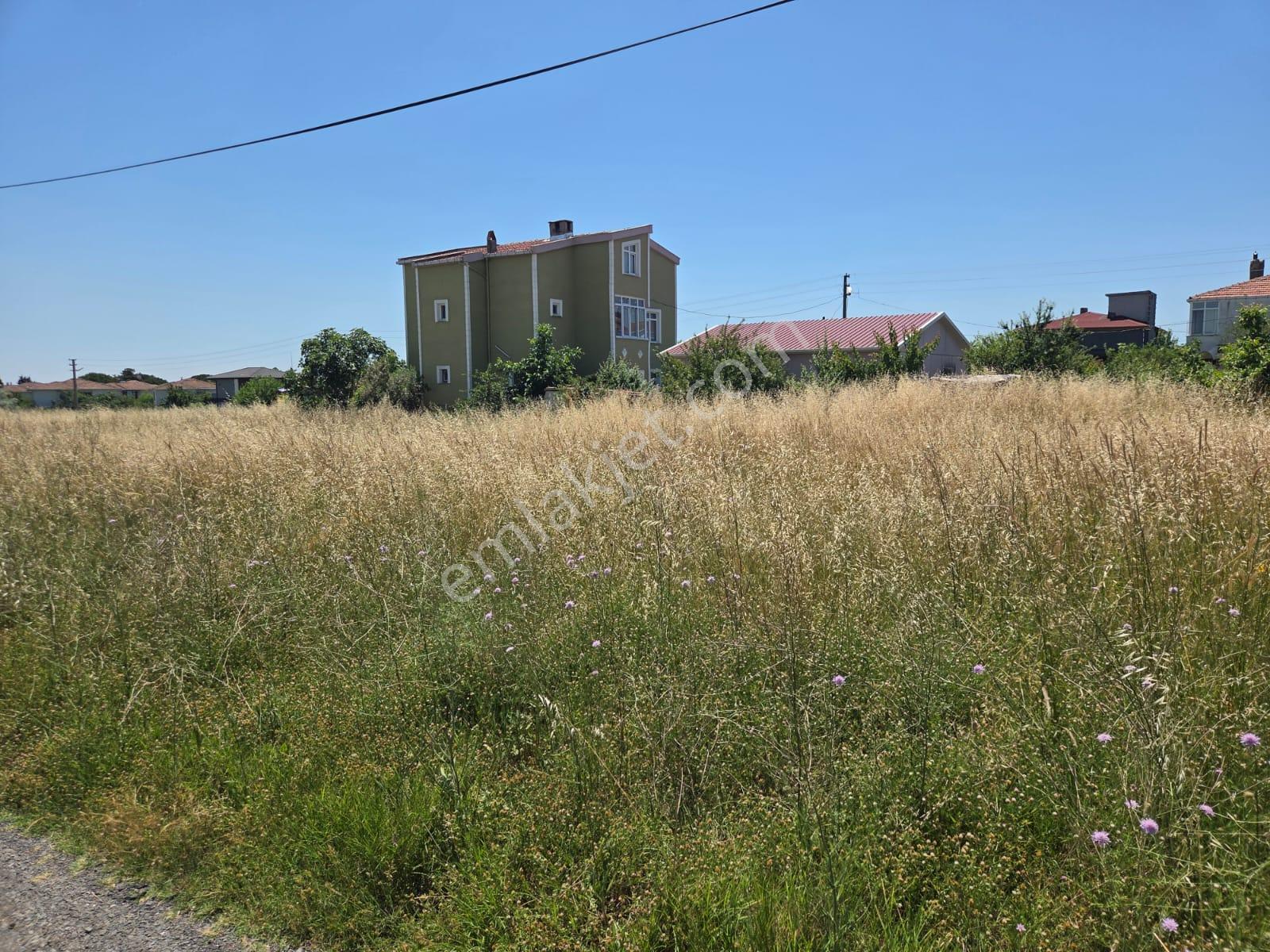 Haydar Emlaktan Yenicede 315 M2 Yatırımlık,müstakil İfrazlı Arsa - Görsel 3