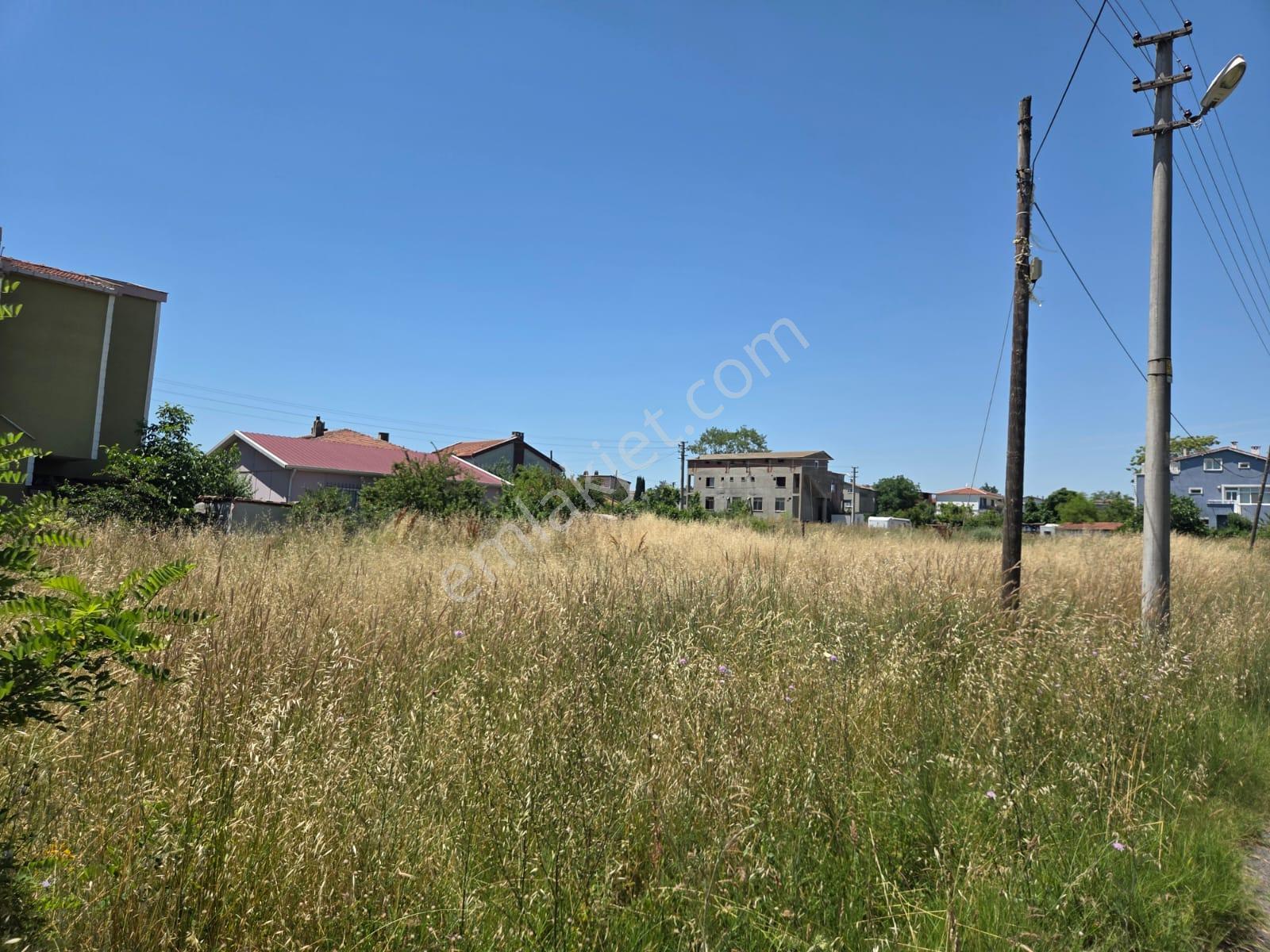 Haydar Emlaktan Yenicede 315 M2 Yatırımlık,müstakil İfrazlı Arsa - Görsel 4