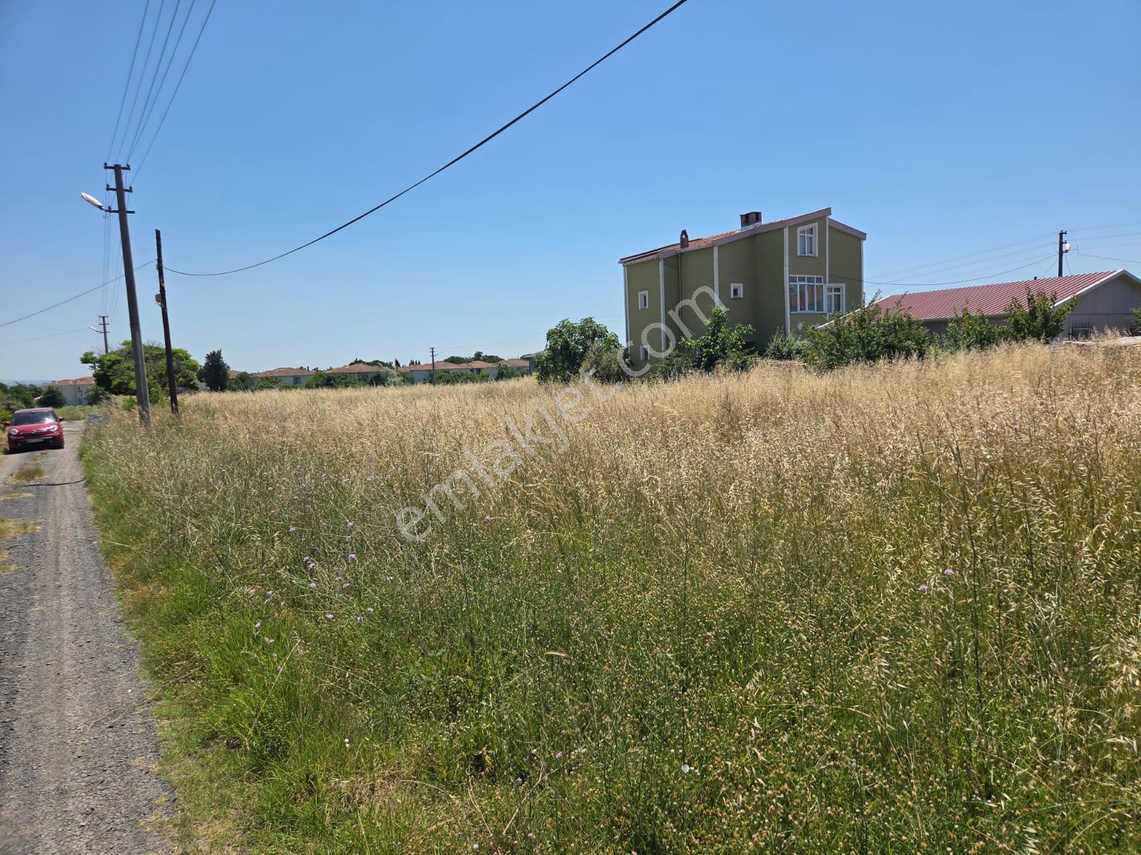 Haydar Emlaktan Yenicede 315 M2 Yatırımlık,müstakil İfrazlı Arsa - Görsel 6