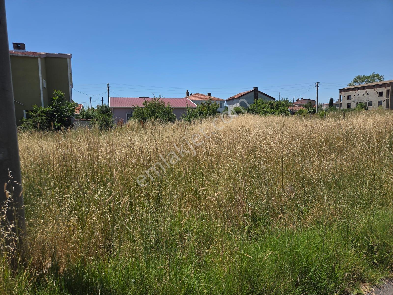Haydar Emlaktan Yenicede 315 M2 Yatırımlık,müstakil İfrazlı Arsa - Görsel 5
