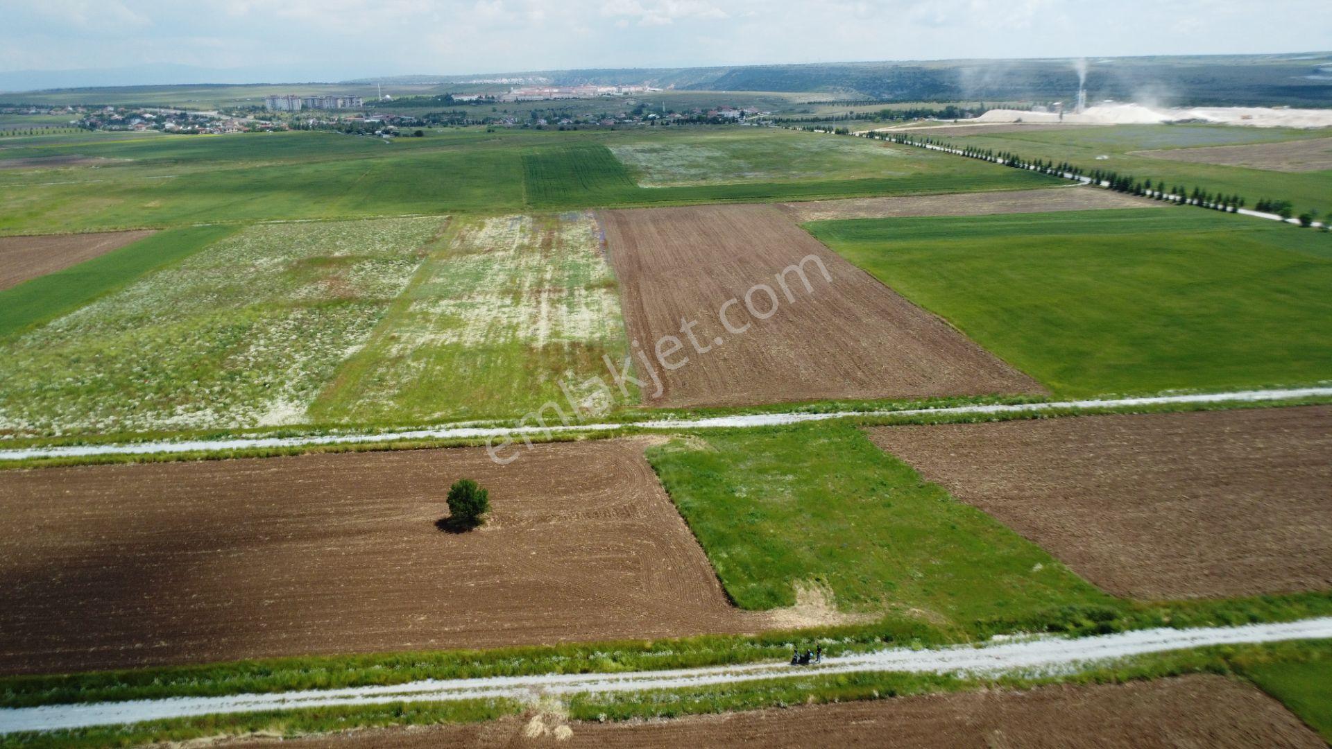 Esgyo'dan Yerleşime Yakın, Yolu Olan, Müstakil Tapu 2.040 M2 - Görsel 8