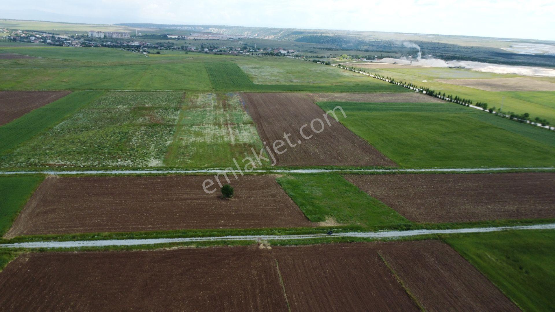 Esgyo'dan Yerleşime Yakın, Yolu Olan, Müstakil Tapu 2.040 M2 - Görsel 12