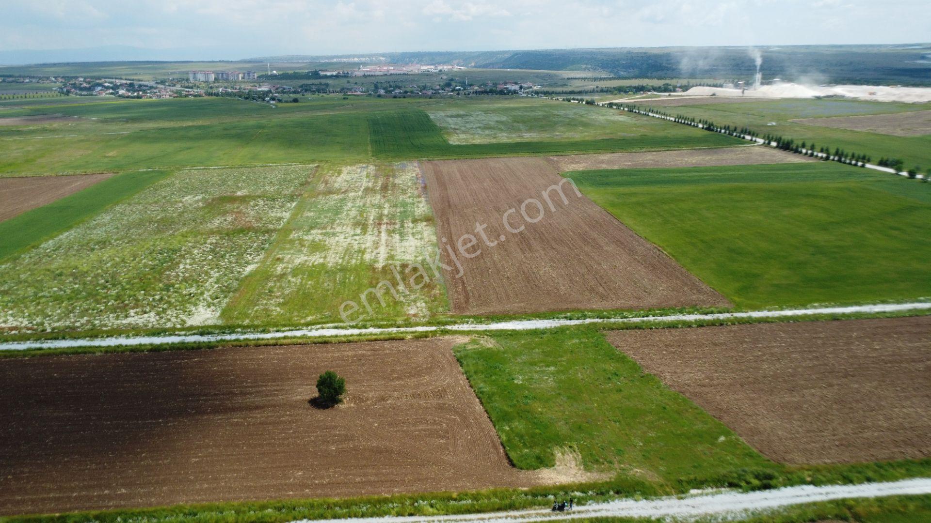 Esgyo'dan Yerleşime Yakın, Yolu Olan, Müstakil Tapu 2.040 M2 - Görsel 7