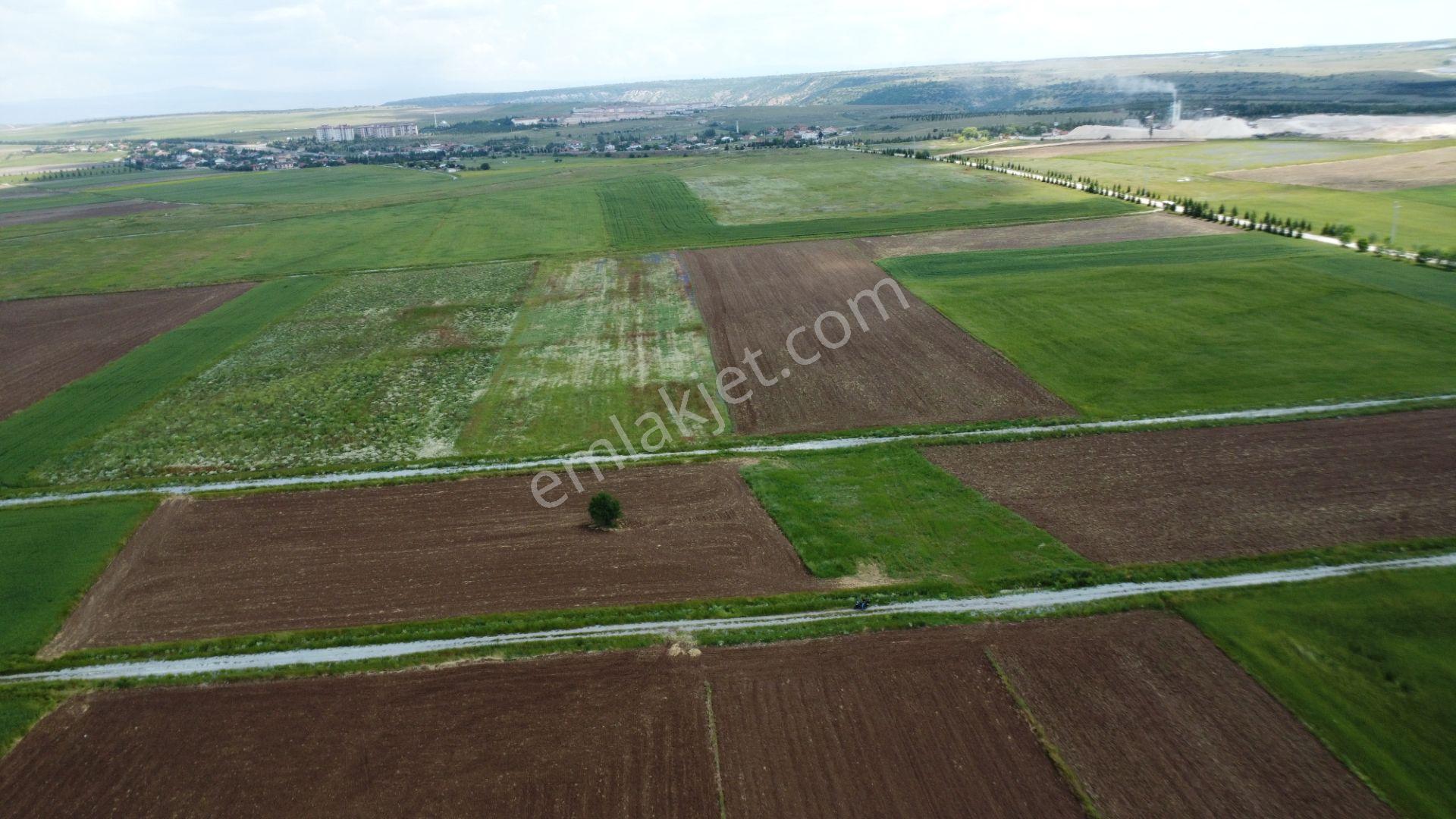 Esgyo'dan Yerleşime Yakın, Yolu Olan, Müstakil Tapu 2.040 M2 - Görsel 14