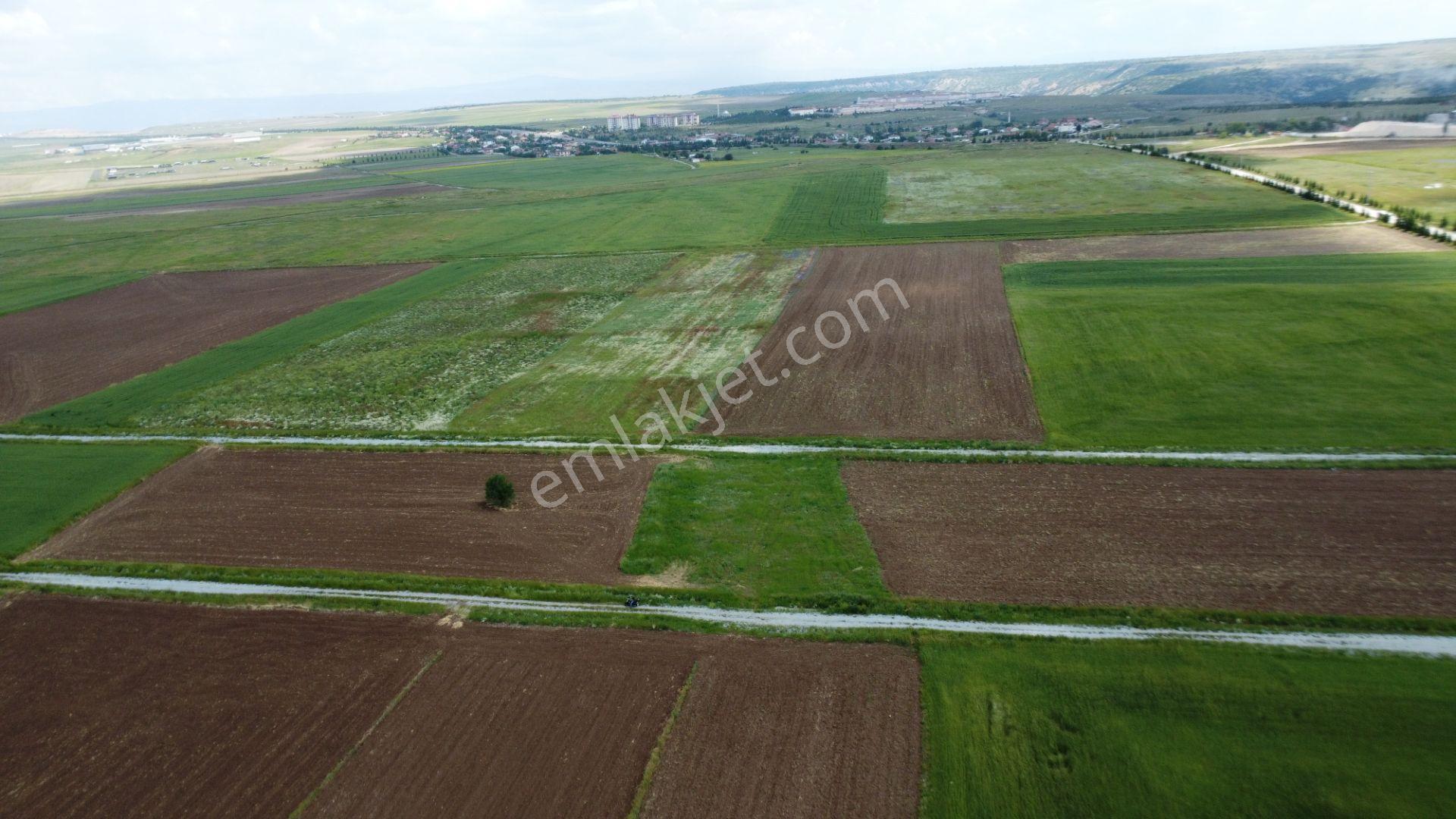 Esgyo'dan Yerleşime Yakın, Yolu Olan, Müstakil Tapu 2.040 M2 - Görsel 17