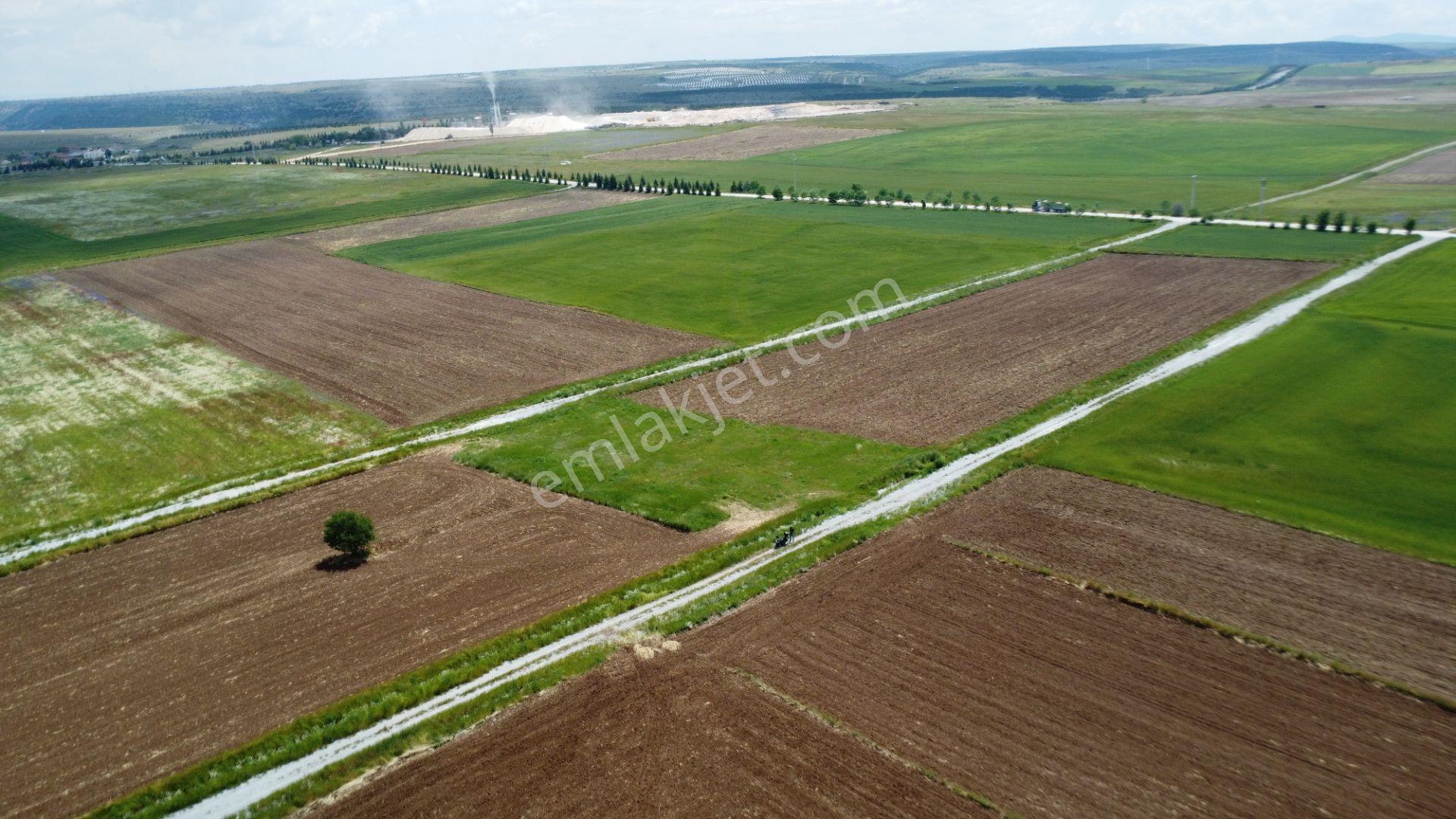Esgyo'dan Yerleşime Yakın, Yolu Olan, Müstakil Tapu 2.040 M2 - Görsel 9