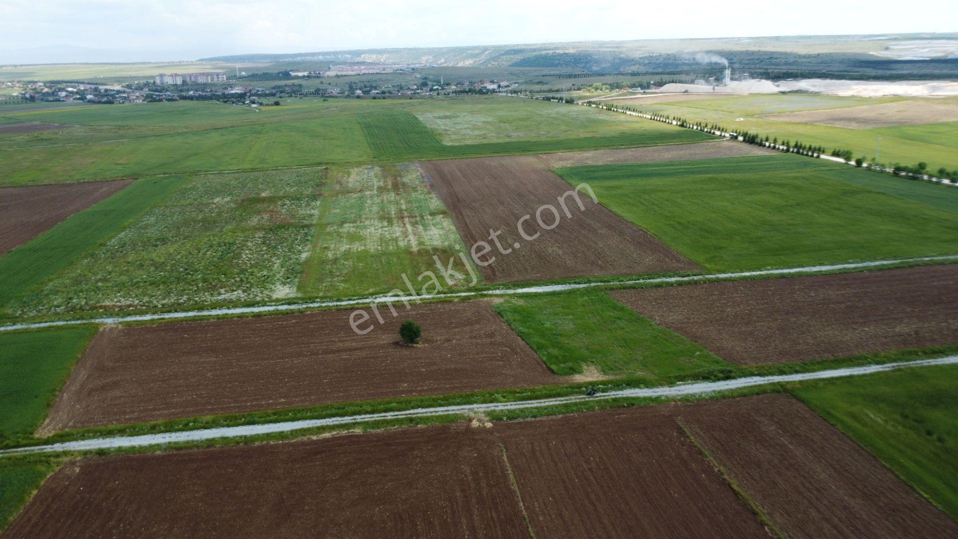 Esgyo'dan Yerleşime Yakın, Yolu Olan, Müstakil Tapu 2.040 M2 - Görsel 13