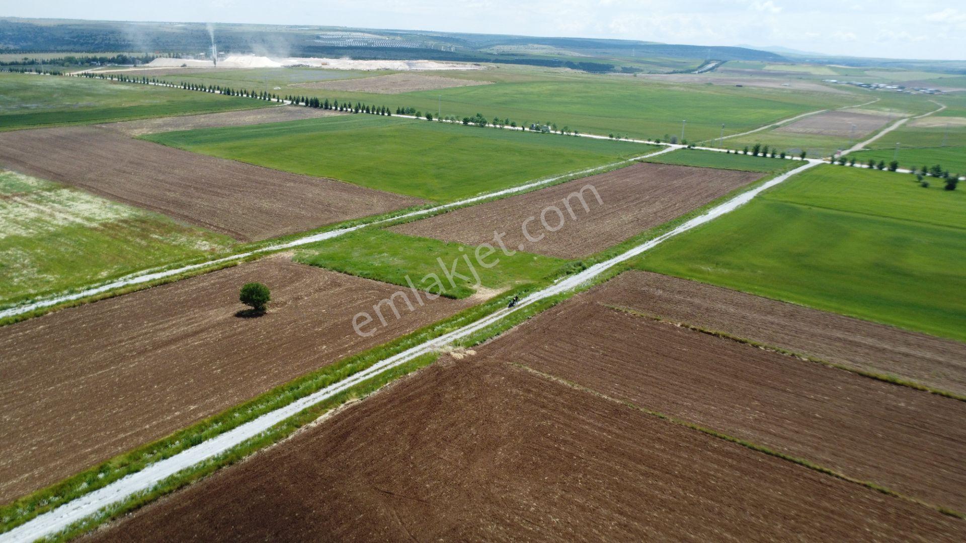Esgyo'dan Yerleşime Yakın, Yolu Olan, Müstakil Tapu 2.040 M2 - Görsel 10