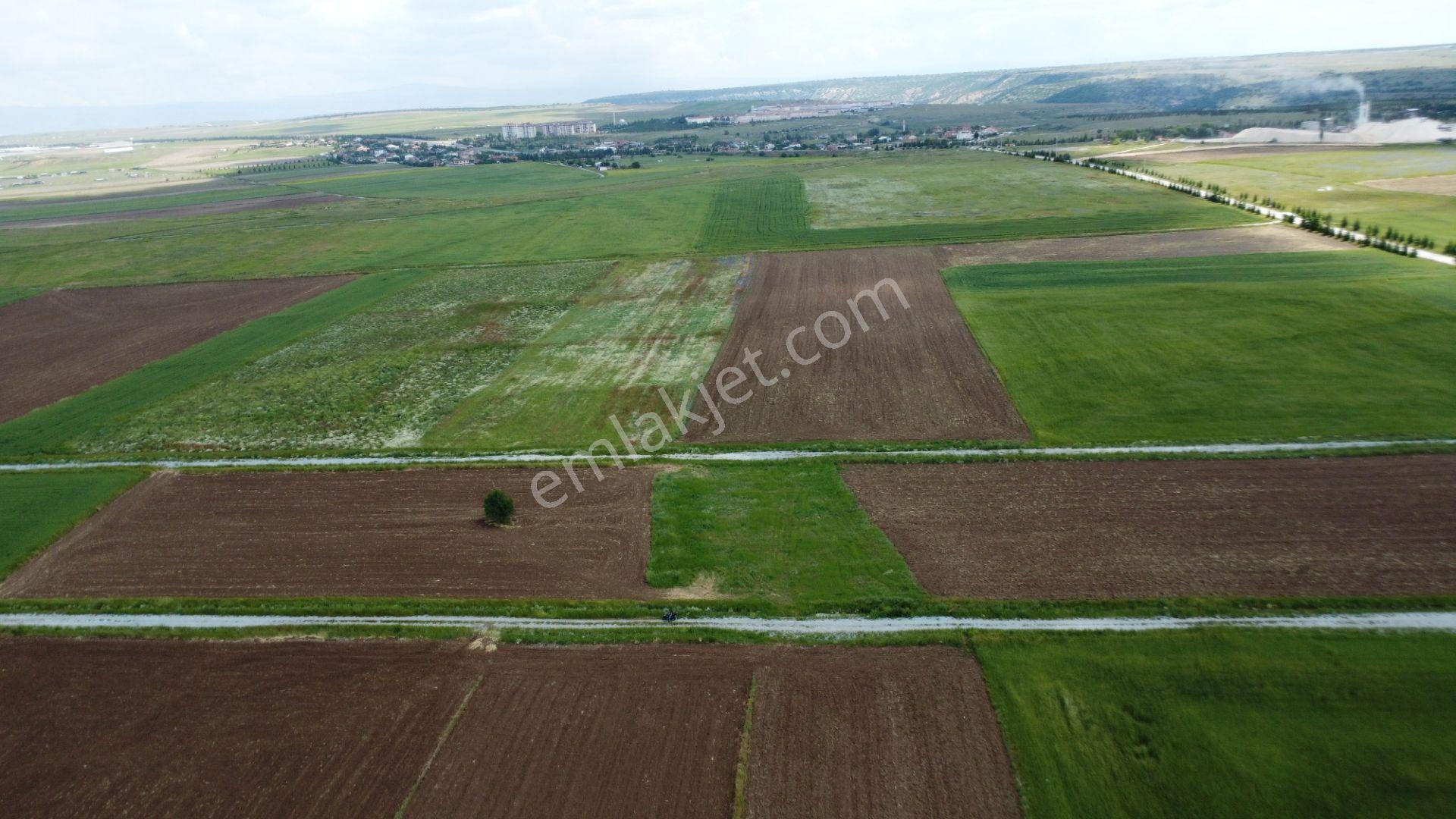 Esgyo'dan Yerleşime Yakın, Yolu Olan, Müstakil Tapu 2.040 M2 - Görsel 16