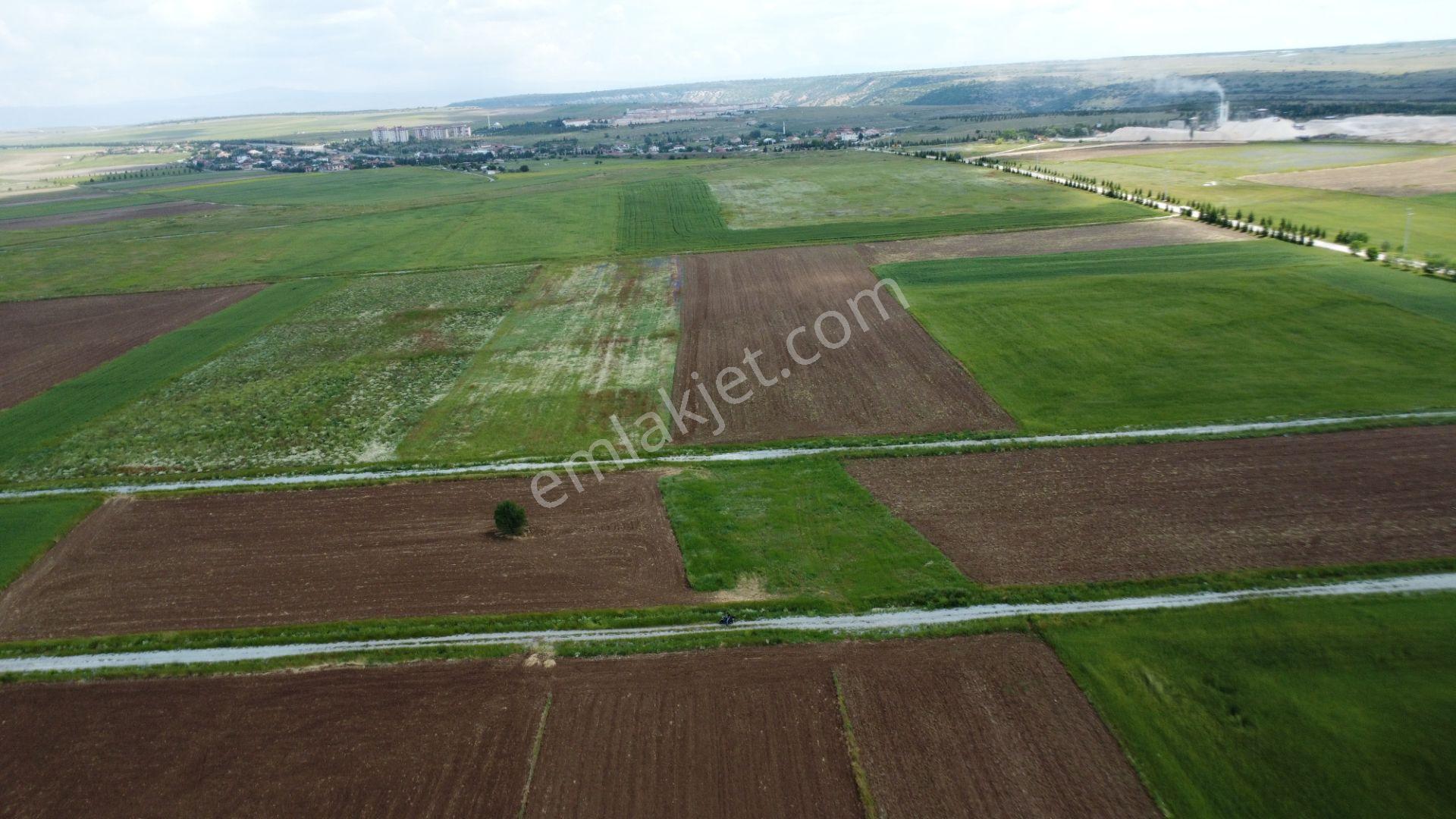 Esgyo'dan Yerleşime Yakın, Yolu Olan, Müstakil Tapu 2.040 M2 - Görsel 15