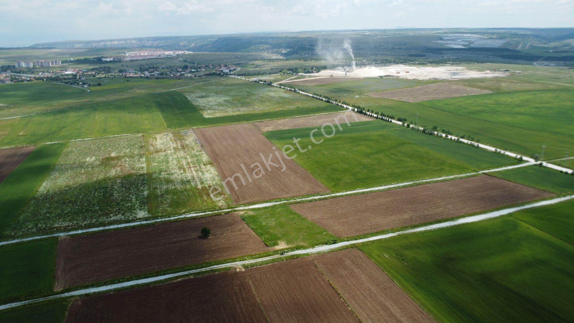 Esgyo'dan Yerleşime Yakın, Yolu Olan, Müstakil Tapu 2.040 M2 - Görsel 6