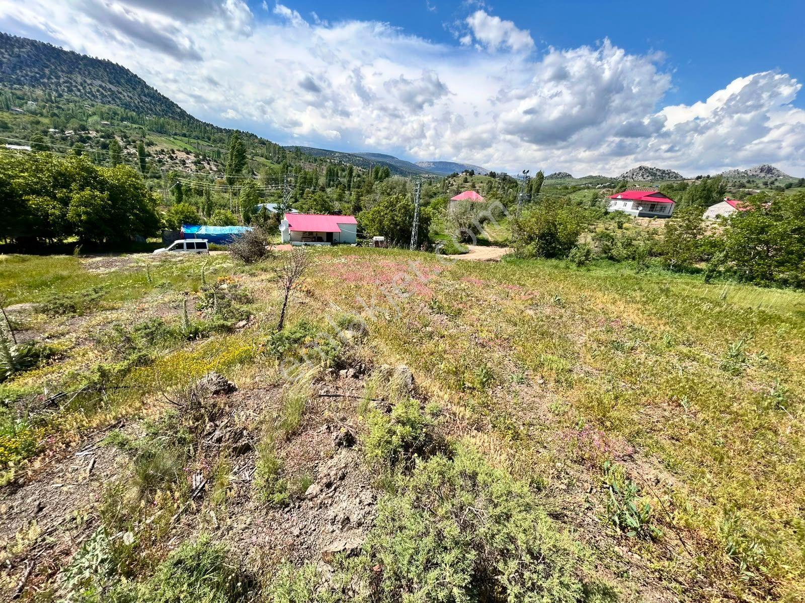 Sorgun Yaylasında Tek Tapu Ev Yeri - Görsel 4