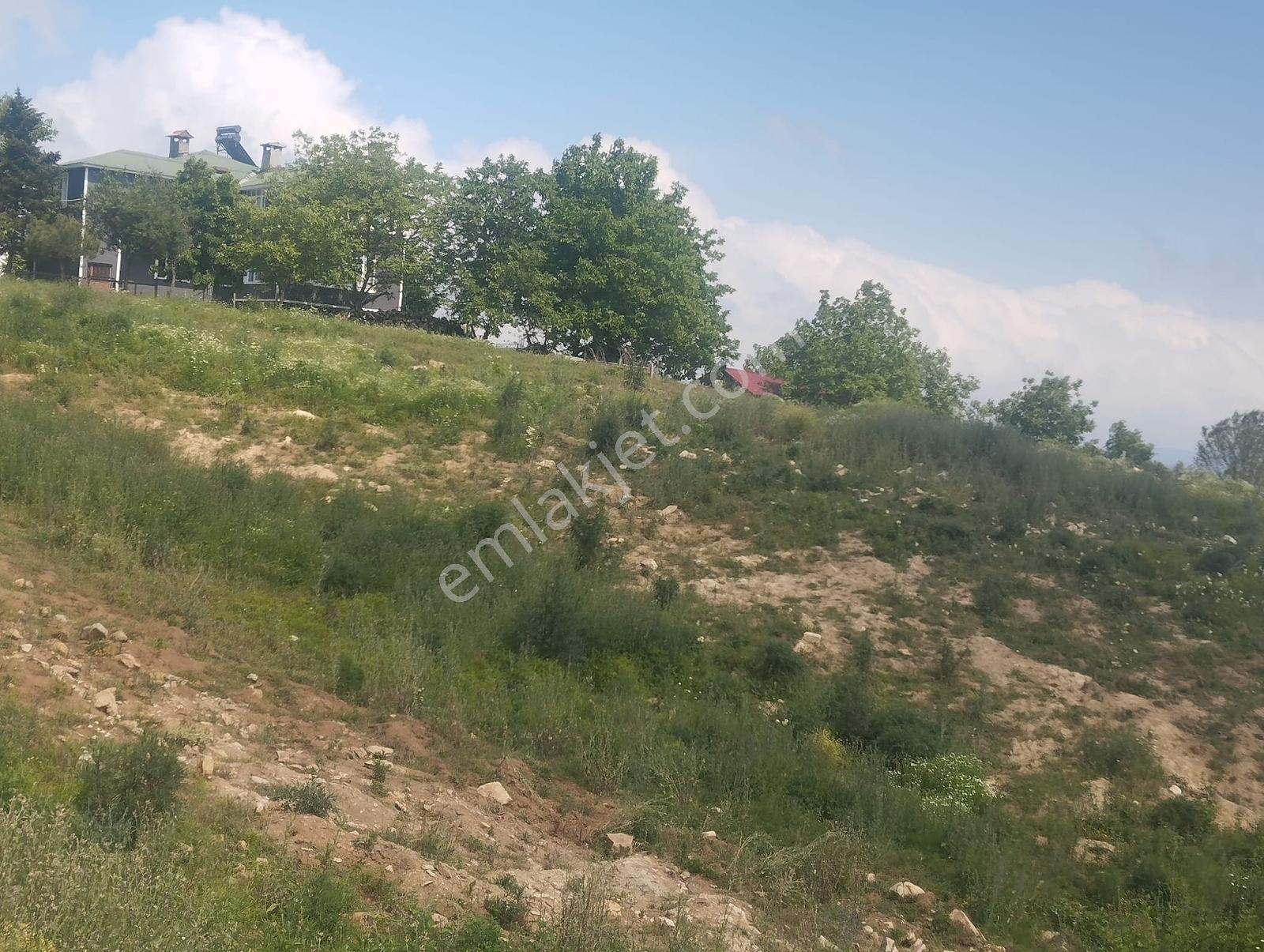 Canik Başalan' Da Satılık 4220 M2 Yola Cephe Tarla - Görsel 3