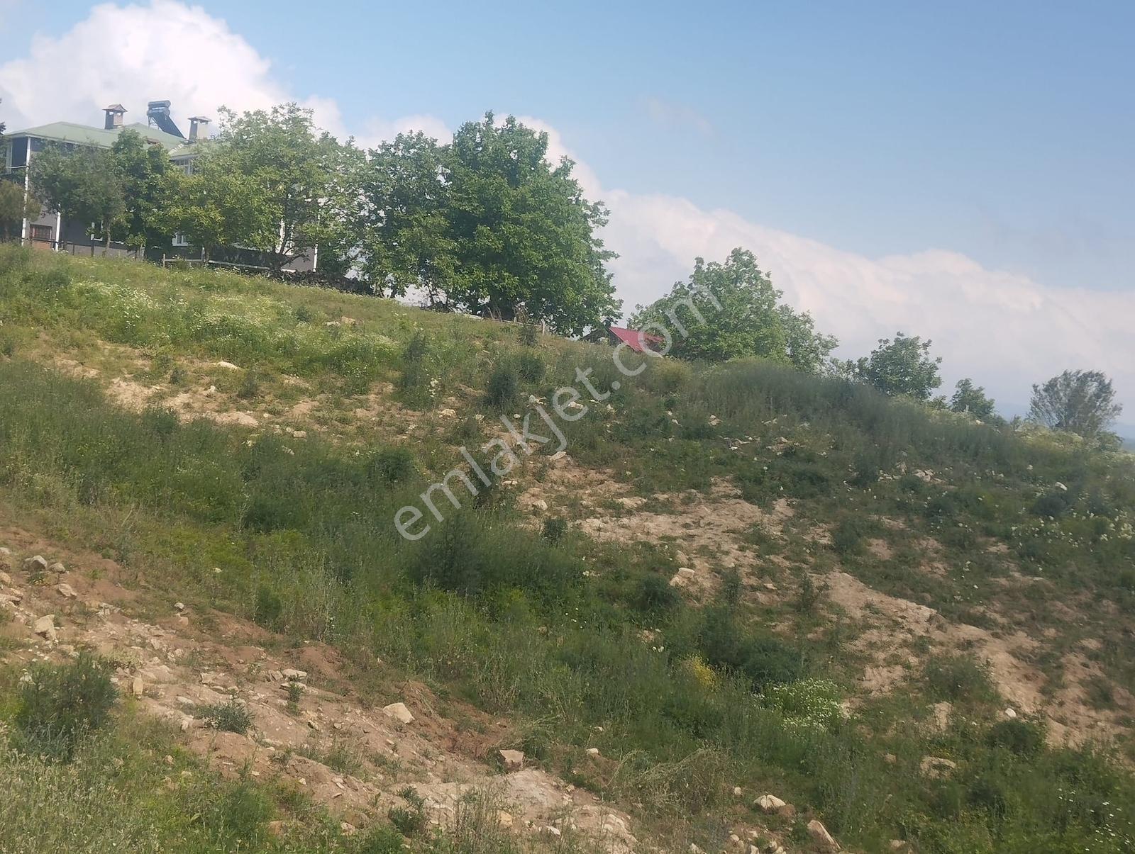 Canik Başalan' Da Satılık 4220 M2 Yola Cephe Tarla - Görsel 19