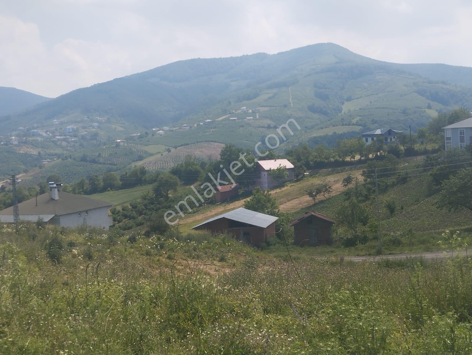 Canik Başalan' Da Satılık 4220 M2 Yola Cephe Tarla - Görsel 9