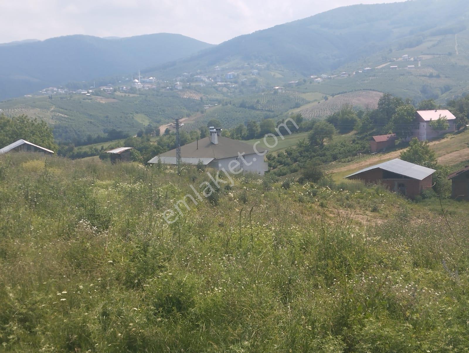Canik Başalan' Da Satılık 4220 M2 Yola Cephe Tarla - Görsel 17