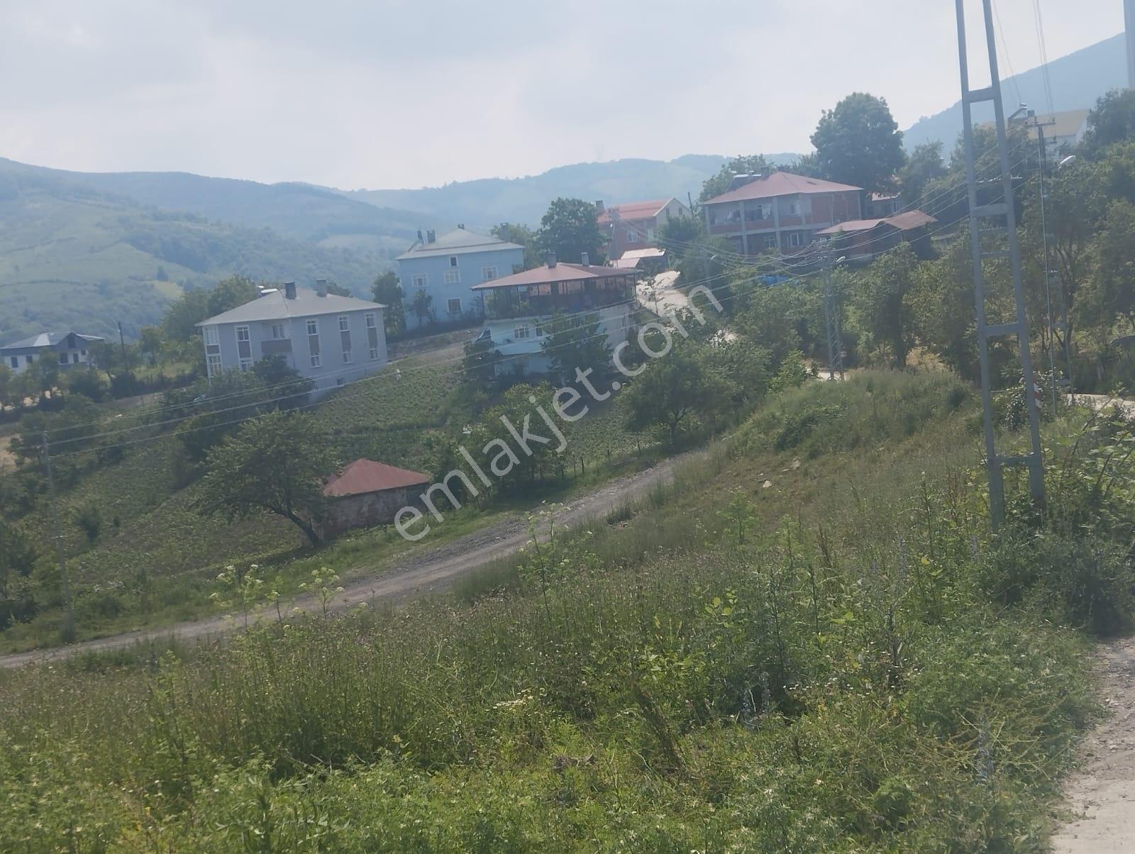Canik Başalan' Da Satılık 4220 M2 Yola Cephe Tarla - Görsel 6