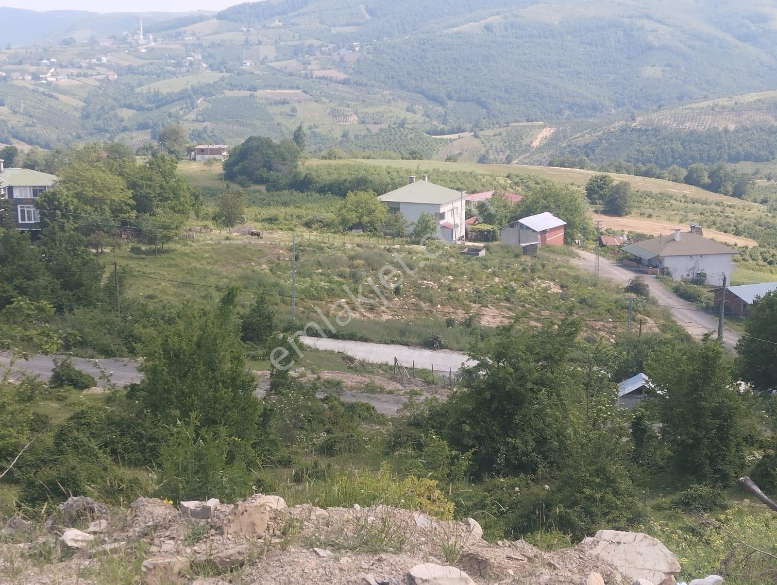 Canik Başalan' Da Satılık 4220 M2 Yola Cephe Tarla - Görsel 12
