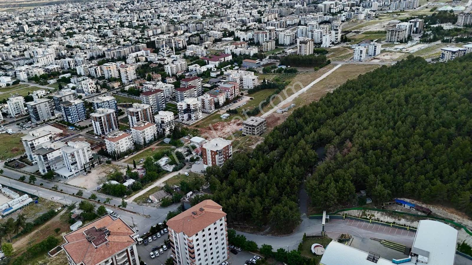 Cumhuriyet Mahallesin'de Satılık 1510 M² Müstakil Tapulu Arsa - Görsel 9