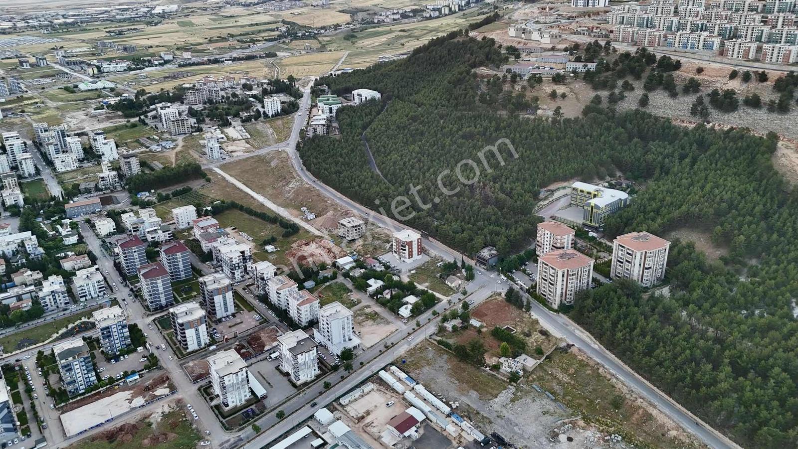 Cumhuriyet Mahallesin'de Satılık 1510 M² Müstakil Tapulu Arsa - Görsel 24