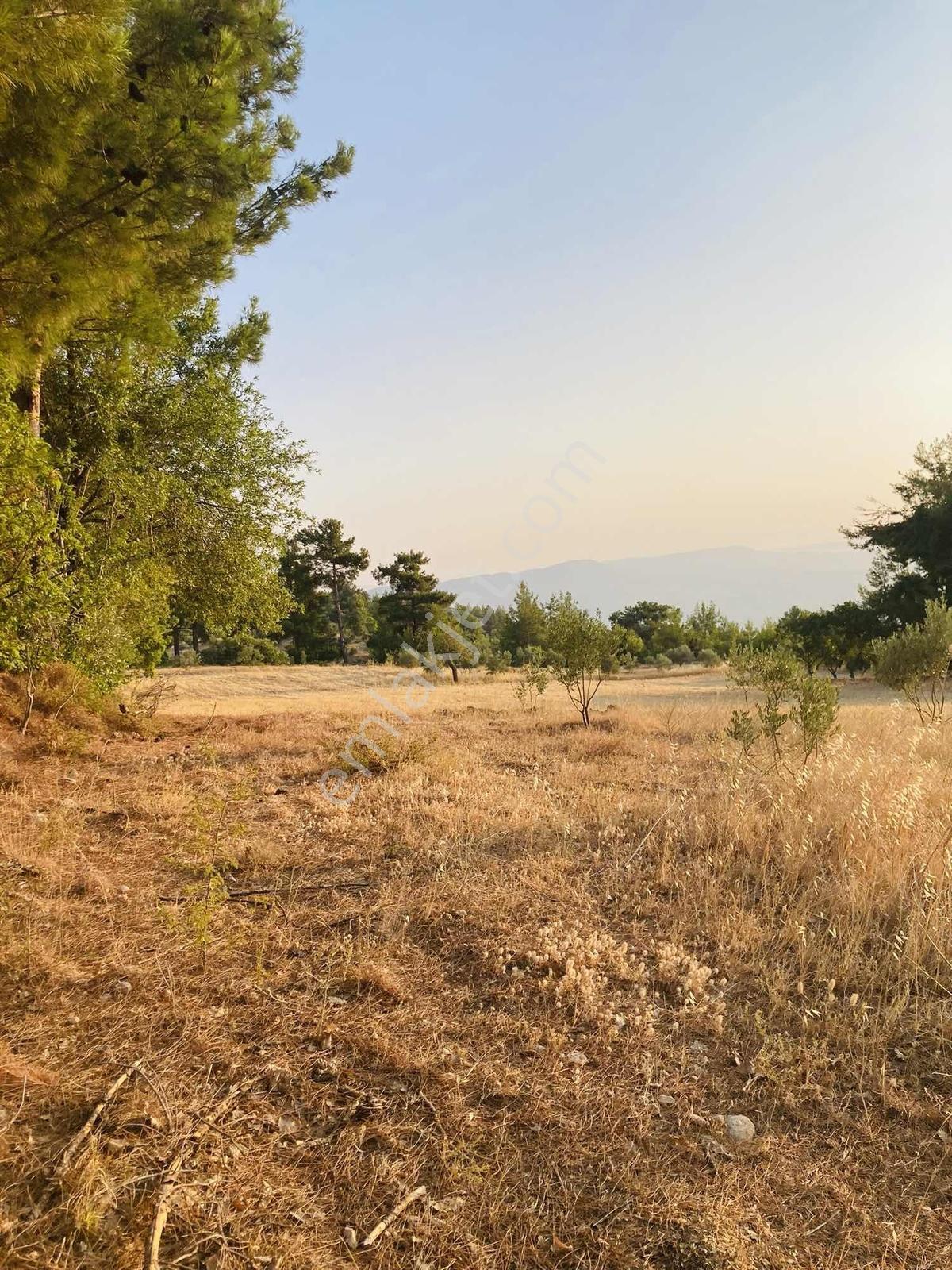 Muğla Menteşe Satılık Bağ Evi Yapılabilir Tarla - Görsel 9