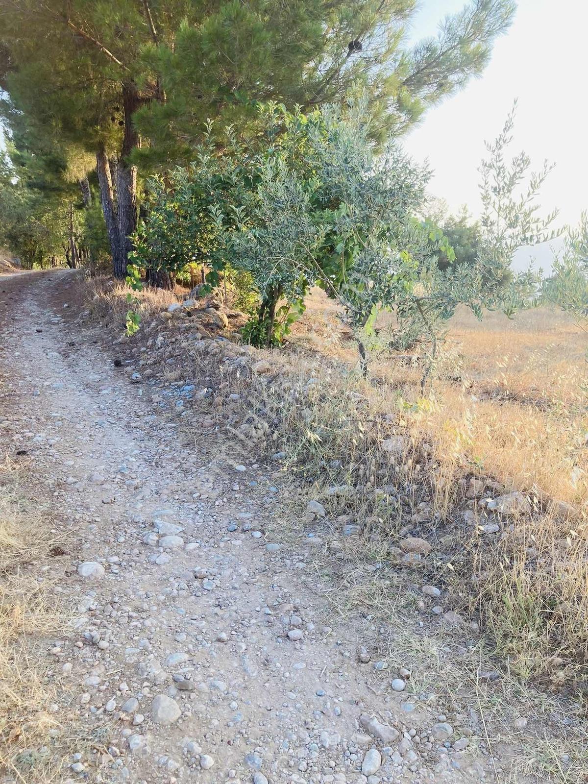 Muğla Menteşe Satılık Bağ Evi Yapılabilir Tarla - Görsel 6