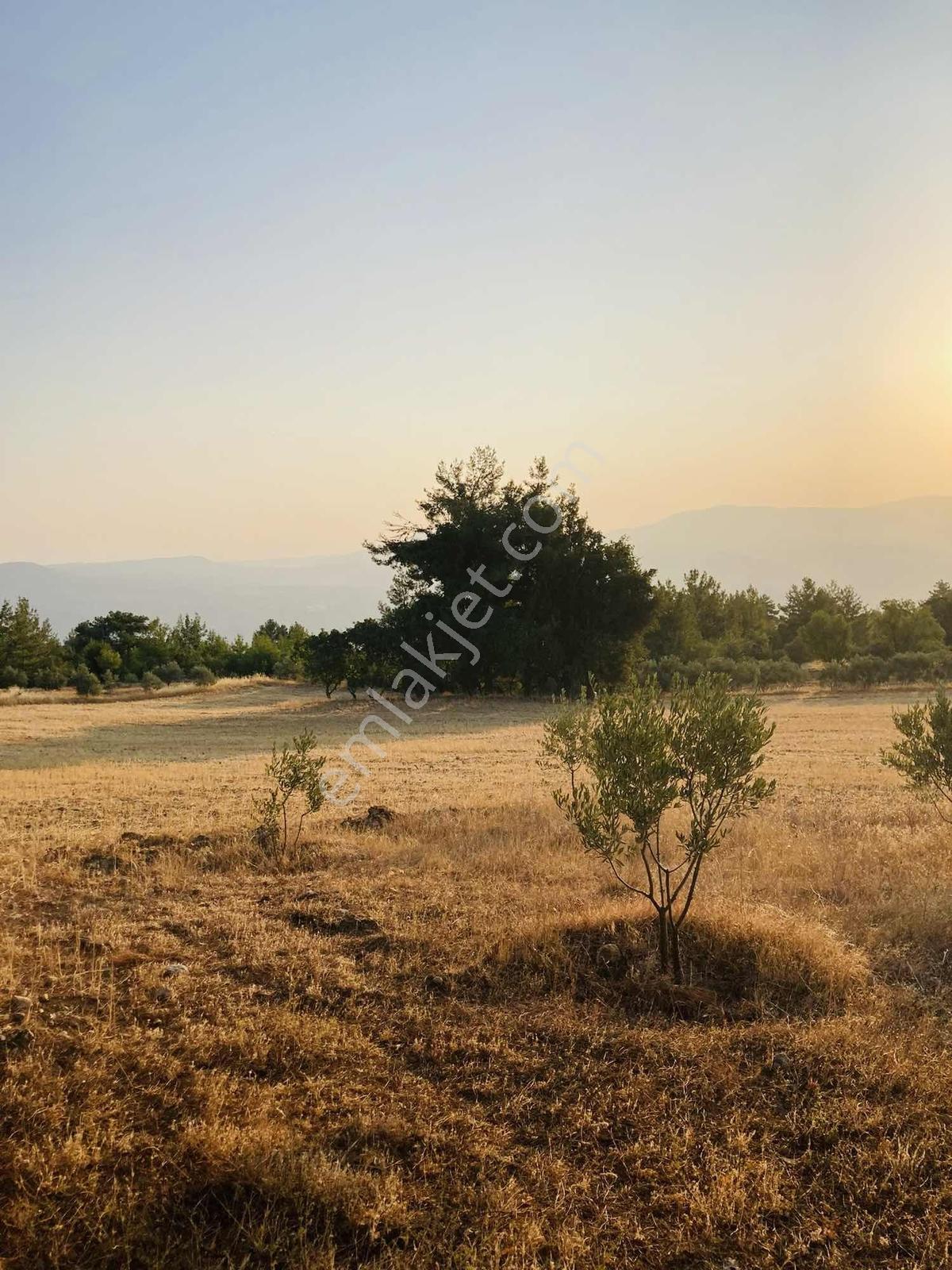 Muğla Menteşe Satılık Bağ Evi Yapılabilir Tarla - Görsel 7